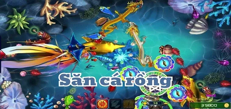 Hướng Dẫn Chi Tiết Cách Chơi Bắn Cá Rồng Tại 33Win Cho Người Mới Bắt Đầu