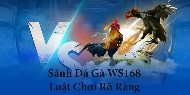 Khám Phá Cách Chơi Đá Gà WS168 Tại 33Win Với Hướng Dẫn Cụ Thể, Chi Tiết