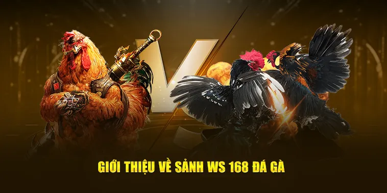 Khám Phá Cách Chơi Đá Gà WS168 Tại 33Win Với Hướng Dẫn Cụ Thể, Chi Tiết